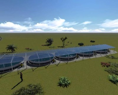 Centro tecnológico de aquicultura nasce em Aveiro
