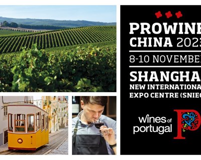 China é o próximo destino dos vinhos de Portugal