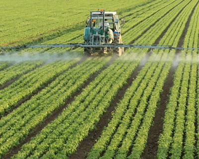 Cidadãos exigem menos agricultura em Odemira e Aljezur