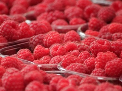 Cidade arqueológica de Balsa vai ter estufas de frutos vermelhos