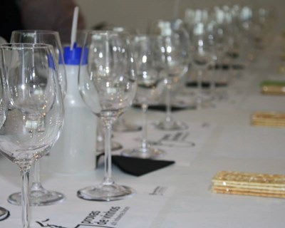 Clima, castas e "terroir" em debate no Congresso Internacional de Vitivinicultura