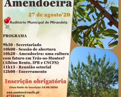 CNCFS realiza palestra técnica e reunião setorial sobre a amendoeira