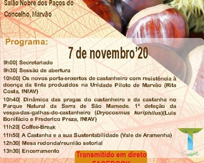 CNCFS realiza seminário sobre o castanheiro e a castanha