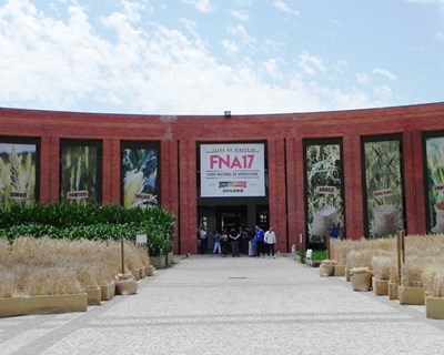 CNEMA promove representação simbólica da FNA Online