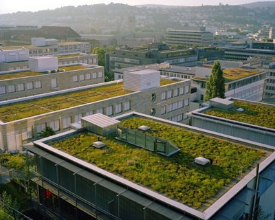 Coberturas verdes e jardins verticais em debate