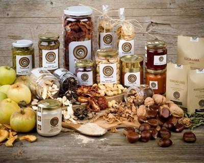 Cogumelos desidratados e farinha de bolota entre os novos segredos do Alentejo