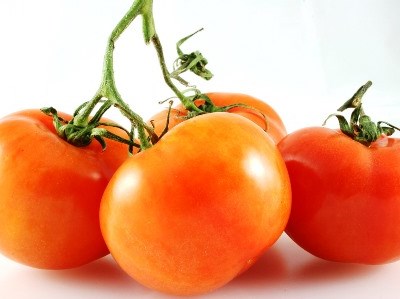 Coimbra: Encontro Agroecológico debate Leguminosas