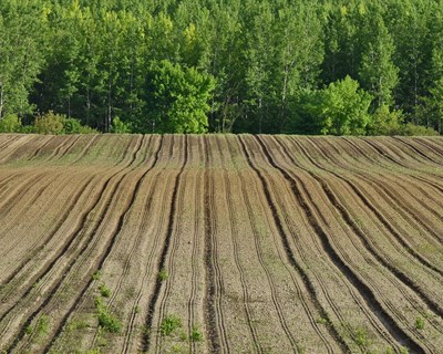 GAL disponibiliza 810 mil euros para projetos agrícolas em Coimbra
