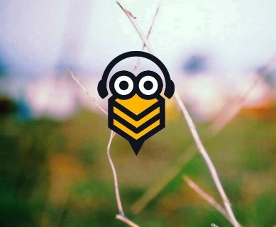 Colmeias Hi-Tech: conheça a app que ajuda os apicultores