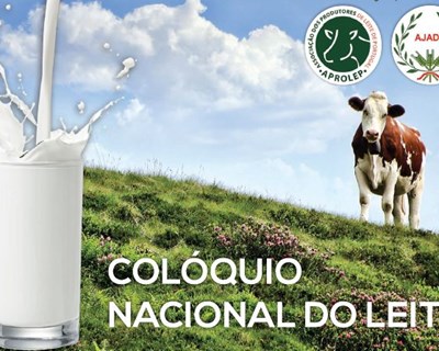 Colóquio Nacional do Leite em Vila do Conde