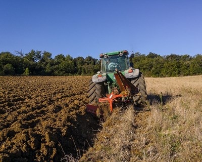 "Com ou sem Iva Zero diferenças de preços continuam a penalizar agricultores e consumidores" afirma CNA
