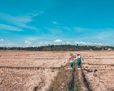 Comissão Europeia disponibiliza material pedagógico sobre agricultura e alimentação para professores