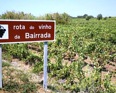 Comissão Vitivinícola da Bairrada manifesta apreensão com a Linha de Alta Velocidade entre Porto e Lisboa