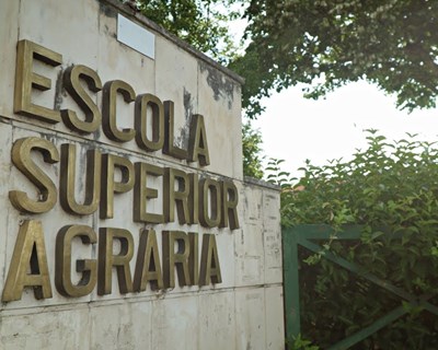 Comunidade convidada a visitar a horta biológica da Agrária de Coimbra