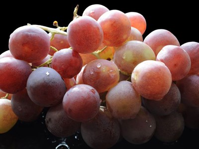 Concurso de Vinhos do Algarve escolhe os melhores de ano