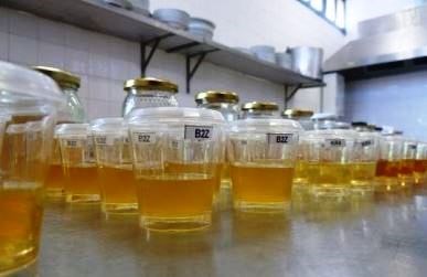 Concurso Nacional de Mel a 4 de maio de 2016