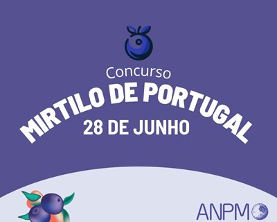 Concurso vai eleger o melhor mirtilo de Portugal