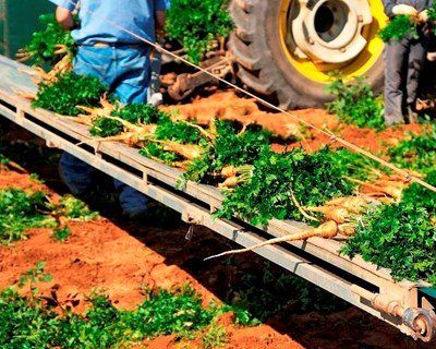 CONFAGRI e DGADR esclarecem Agrupamentos de Produtores com Atividade Multiprodutos