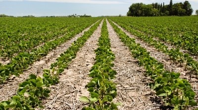 CONFAGRI não aceita a extinção das Direções Regionais de Agricultura
