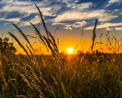 Confederação Nacional da Agricultura celebra 41 anos