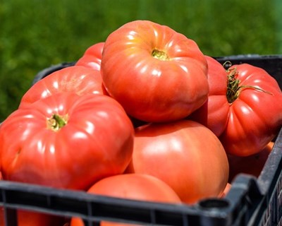 Confederação Nacional da Agricultura preocupada com os problemas de escoamento da produção agrícola