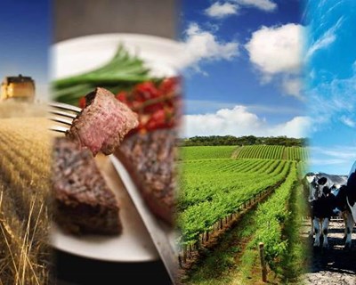 Conferência APCER Agrifood 2019