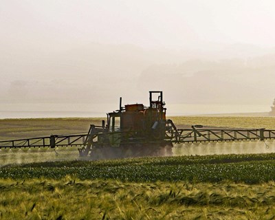 Conferência: Ferramentas para Práticas de Gestão Integrada de Pragas dos Agricultores