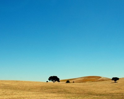 Conferência "Propriedade e Práticas Agrícolas no Baixo Alentejo na Idade Moderna"