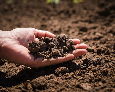 Congresso Ibérico de Solos e Desenvolvimento Sustentável