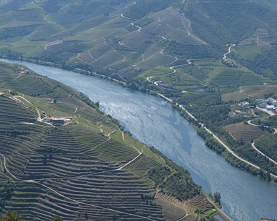 Congresso internacional "Smart and Circular Agriculture towards Sustainability" dias 21 e 22 de julho