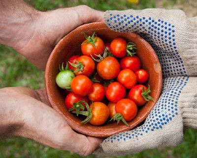Conheça as plataformas Inventrip e Smartfarmer