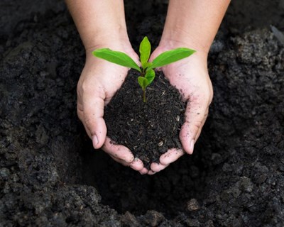 Conheça o Projeto H2020 "SOILGUARD"