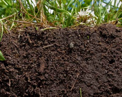 Conheça os três novos cursos Agrobio E-Learning e B-Learning