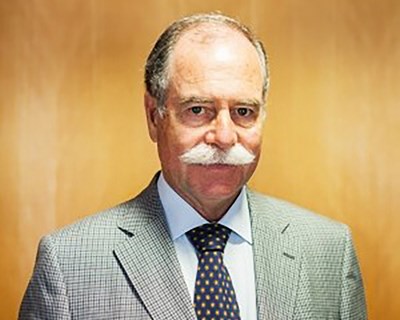 Opinião: Conselho de Ministros sobre a Floresta: "Carta Aberta ao Senhor Presidente da República"