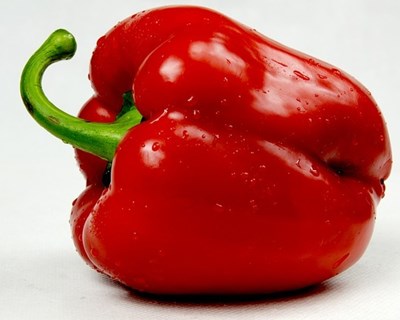 Consórcio internacional desenvolve robot para colheita de pimento