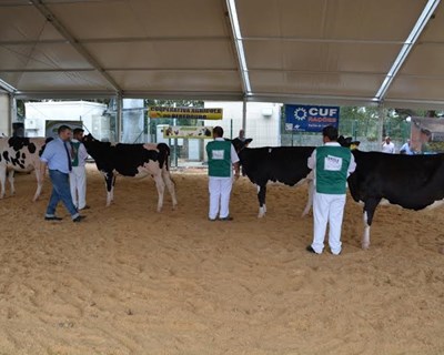 Cooperativa Agrícola de Bebedouro celebra 50 anos