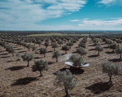 Cooperativa Agrícola de Moura e Barrancos conquista Estatuto de PME Líder 2021