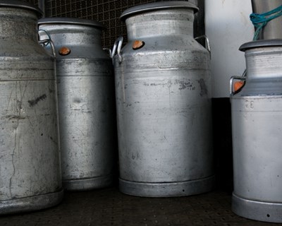 Cooperativas de Produtores de Leite contra fim das Direções Regionais de Agricultura