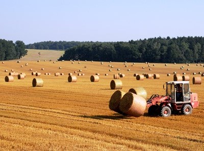 Cooperatives Europe mostra preocupação com saída do Reino Unido da UE