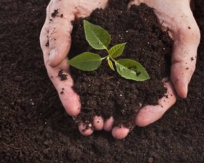 Cooperativismo na Agricultura em debate na UTAD