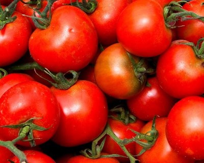 Copa-Cogeca assinala potencial dos setores agrícola e agroalimentar da UE