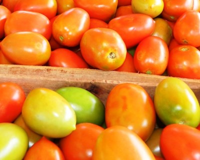 Copa Cogeca desafia agricultores a aumentarem produção alimentar