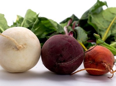 Copa-Cogeca é favorável às novas normas de uso de fertilizantes biológicos