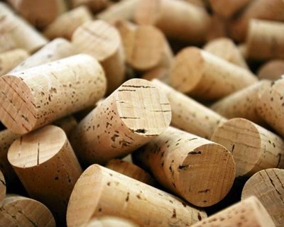Cortiça: Amorim Cork Ventures desafia empreendedores nacionais