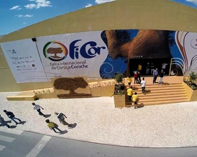 Coruche: FICOR 2015 reflete sobre a conservação dos solos