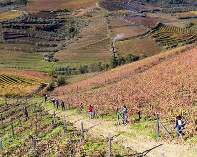 Costa Boal Family Estates promove os seus vinhos em Angola com ações especiais de 6 a 14 de junho