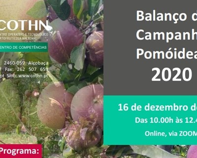 COTHN promove balanço da campanha de pomóideas em 2020