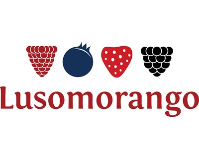 Covid-19: Lusomorango apela à ajuda governamental para a exportação de produtos frescos