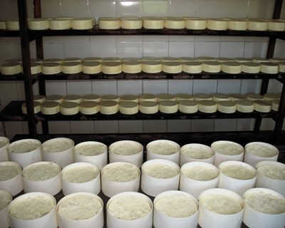 Covid-19: Mercado Abastecedor de Évora abre serviço de venda direta ao público para produtores de laticínios, carnes frescas e charcutaria