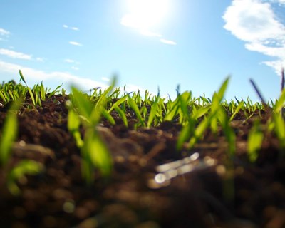 Covid-19: Ministério da Agricultura emite mensagem ao setor e aos agricultores